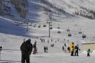 aignerwinter11