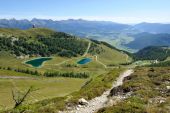 trogalmsee